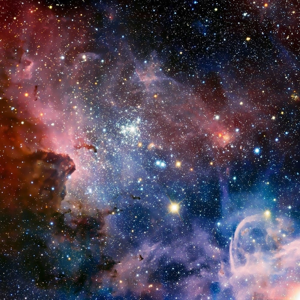 Meet your Posher, J'ney